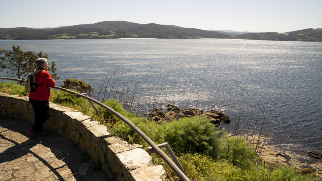 MIRADOR DEL CASTILLO